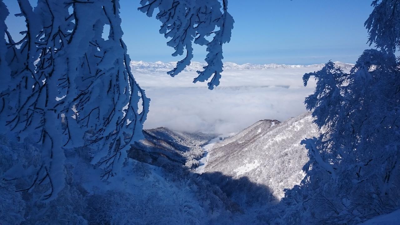 Hotel Nozawa Dream Exterior foto